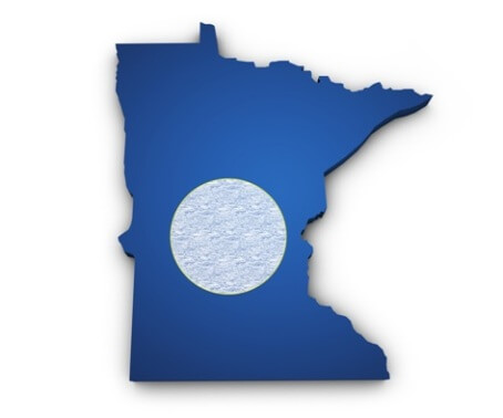 Central Minnesota State