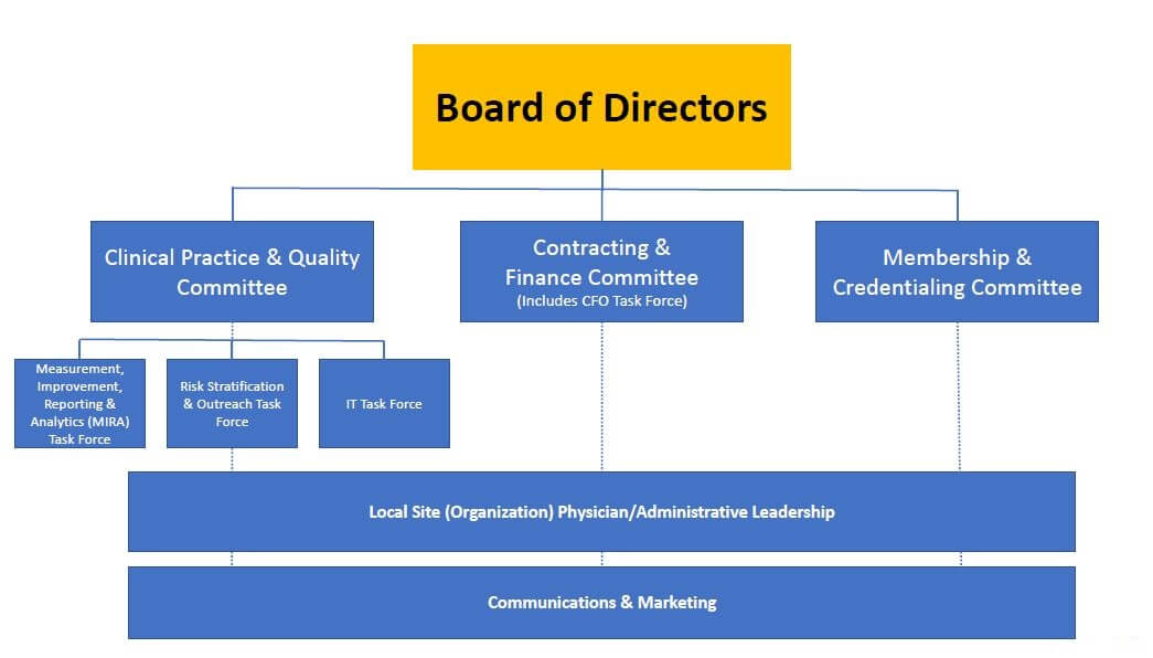 board of directors org chart